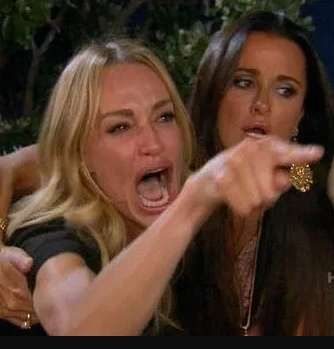 the yelling RH ladies from the cat meme