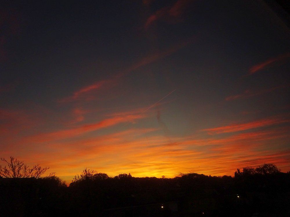 Een donkere woonwijk met hoge bomen. Er branden een paar lichtjes. De lucht is donkerblauw met oranjerode strepen en een gele plek aan de horizon waar de zon nog moet opkomen.

A dark residential area with tall trees. A few lights are on. The sky is dark blue with orange-red stripes and a yellow spot on the horizon where the sun has yet to rise.