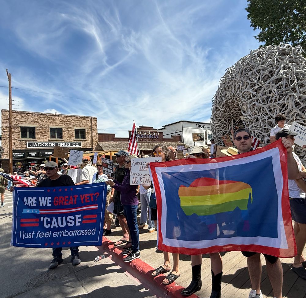 Protesters hold flags- one reads “are we great yet? ‘Cause I just feel embarrassed.” One is the Wyoming flag, with a rainbow bison silhouette