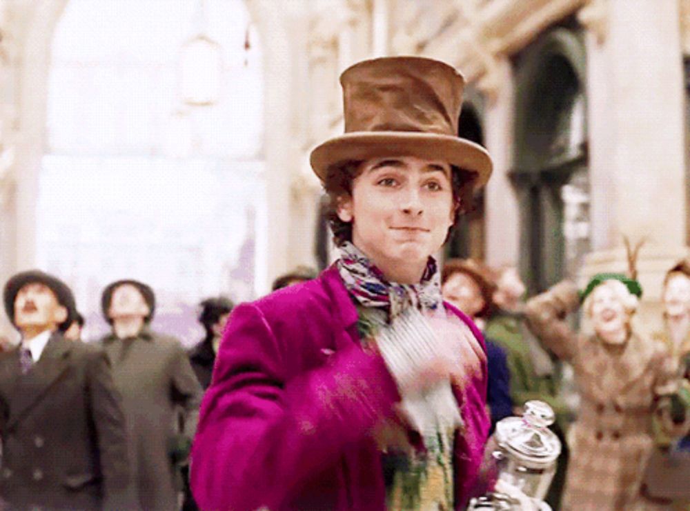 Wonka Timothee Chalamet GIF