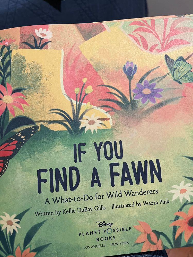 Title page of If You Find a Fawn with Flowers’s and a child’s rain boot