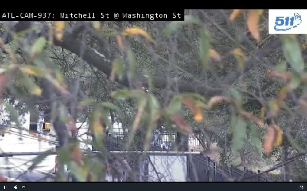 Screenshot of a traffic cam from near the Georgia State Capitol at Mitchell St and Washington St. Instead of showing the intersection, the camera is turned away and zoomed in on some leaves and a tree. 