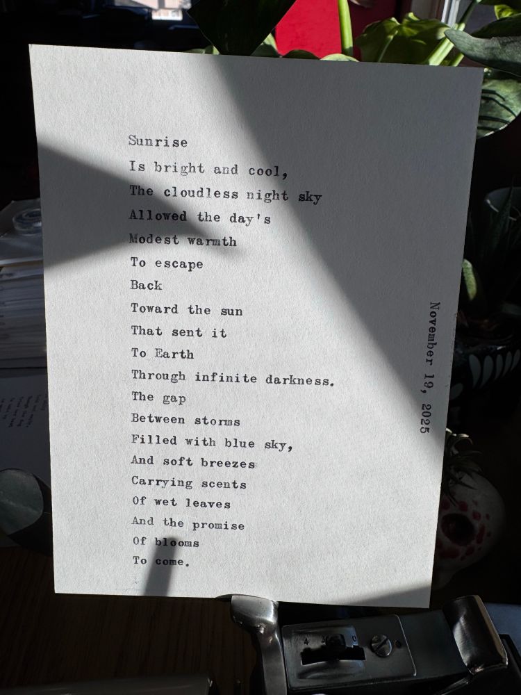 Sunrise
Is bright and cool,
The cloudless night sky
Allowed the day's
Modest warmth
To escape
Back
Toward the sun
That sent it 
To Earth
Through infinite darkness.
The gap
Between storms
Filled with blue sky, 
And soft breezes
Carrying scents 
Of wet leaves 
And the promise 
Of blooms
To come.

November 19, 2025