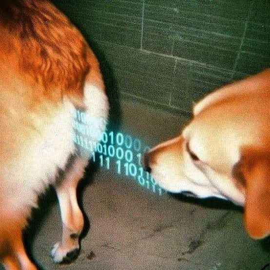 no way in hell am i describing this in alt text. trust me, youre welcome. 