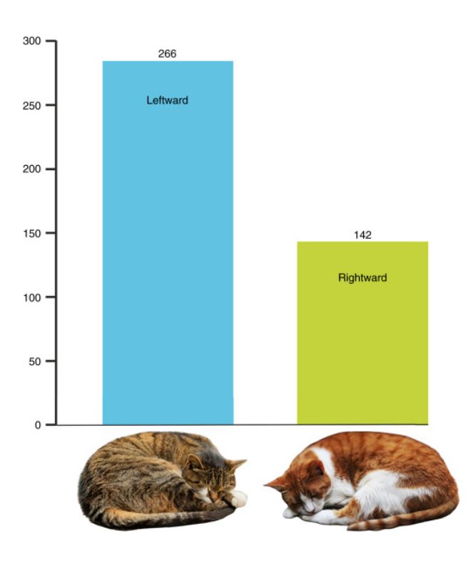 A bar graph showing a greater prevalence of left-sleeping cats than right-sleeping cats. The category labels are pictures of cats.