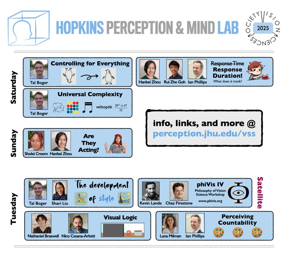 A visual advertisement of VSS projects from the Firestone Lab