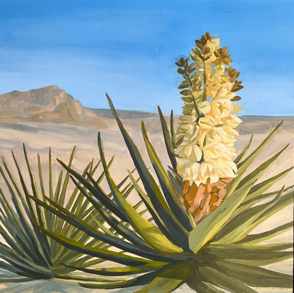 Oil painting of a yucca blooming in the desert