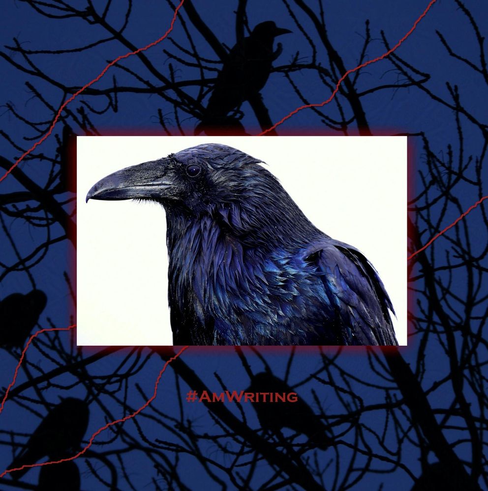 A raven in profile on white against a darker blue background of ravens in a tree set against a dark blue sky.

Photo Credits: Closeup of a raven in profile against a white background by Michael Jerrard via Unsplash; background pic of ravens by Andreas Papadopoulos via Unsplash. 
