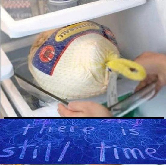 cold whole turkey being pulled out of a fridge. captioned by a screenshot of I Saw The TV Glow, reading “there is still time”