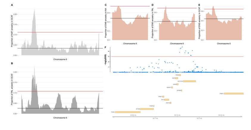 Figure showing the LAD regions over MHC and the score for the selection scan statistic over the region