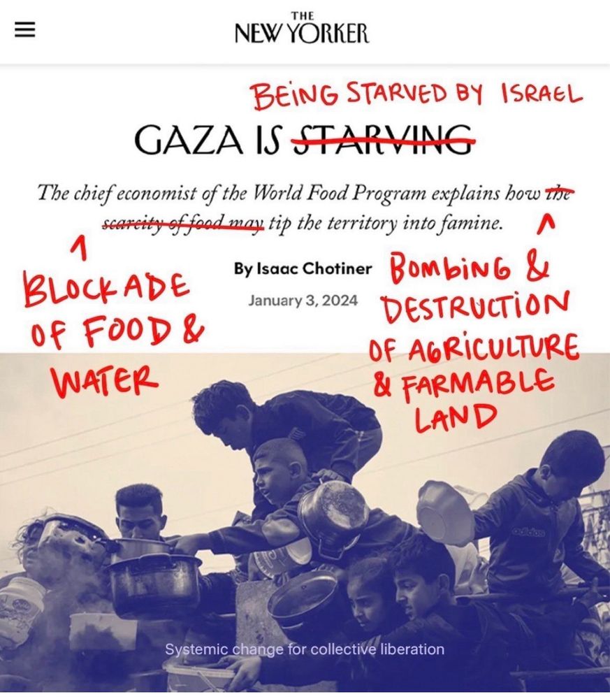 Source: https://www.instagram.com/p/C1xiLO_uO_D/?igsh=MWxrN2hkc3B4bjZy