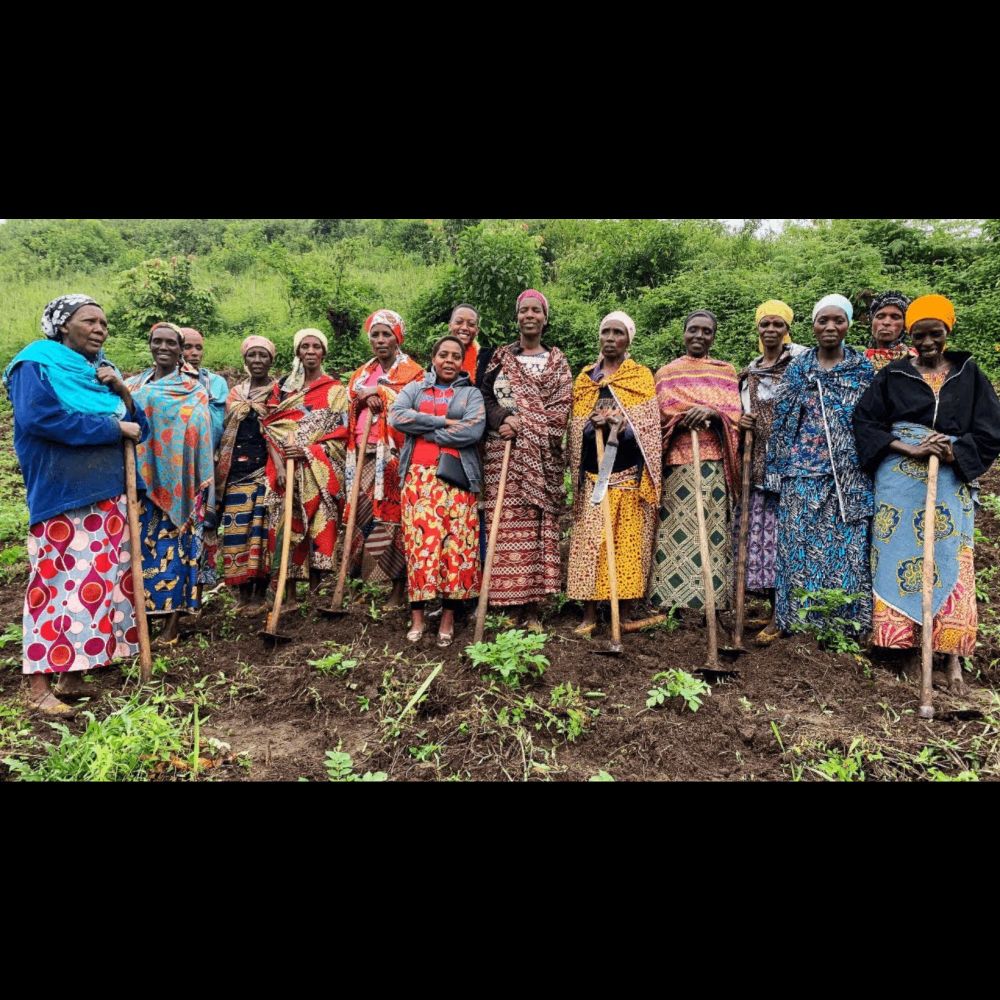 Seeding the Future: Women Protecting Forests, Climate, and Communities