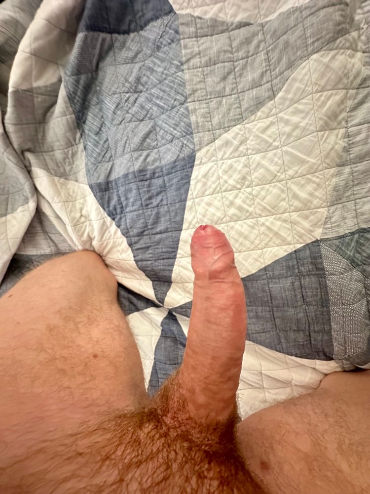Erect cock with foreskin partially pulled back and thighs on a blue and white comforter 