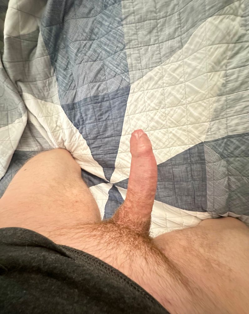 Erect cock and thighs on blue and white comforter 