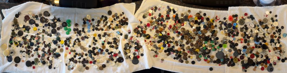 a large array of washed buttons obtained from an online auction
