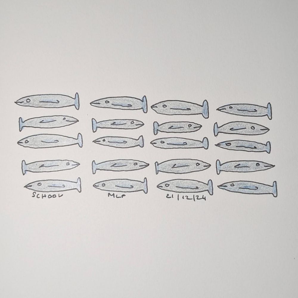 School, MLP 21/12/24: A drawing of 20 small blue-grey fish in 5 rows of 4 fish.  All the fish in each row face in the same direction, for rows 1, 3 and 5 this is left and for rows 2 and 4 this is right.  For some reason I find it easier to draw left-travelling fish than right-travelling and I've no idea why.  Ink & coloured pencil.