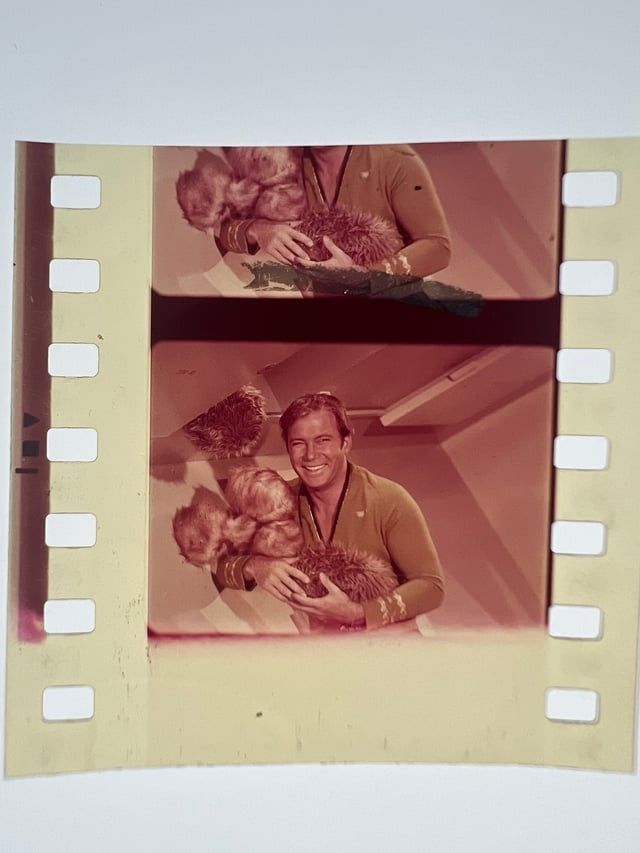 A cut film strip from Star Trek episode "The Trouble with Tribbles".

Image shows a laughing William Shatner attempting to catch a downpour of furry alien rodent props falling from above.