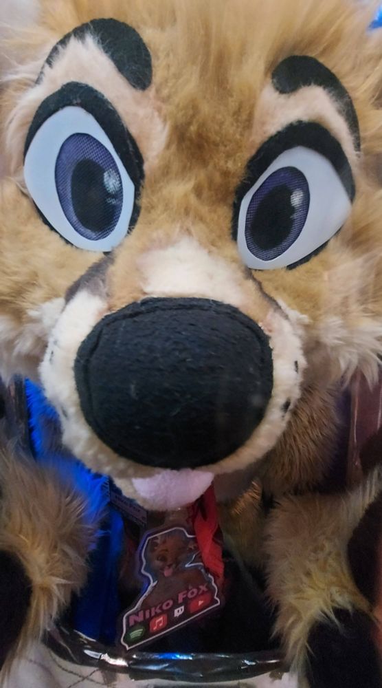 Photo of Niko in full fursuit taken up close with a wide angle lens.