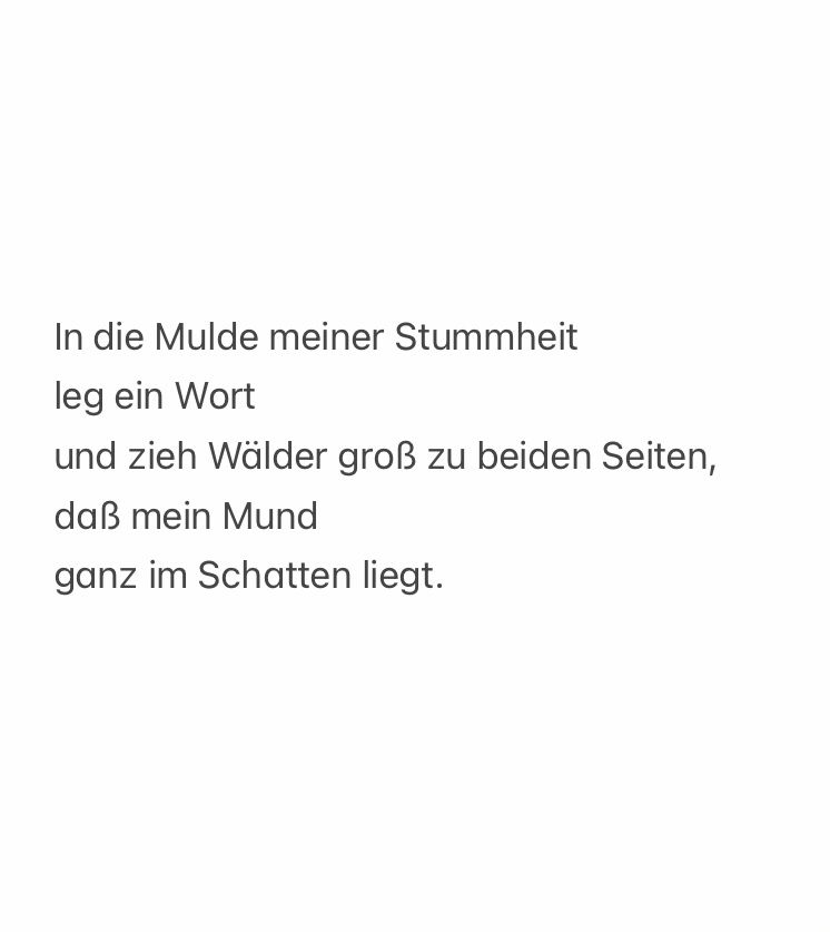 In die Mulde meiner Stummheit
leg ein Wort
und zieh Wälder groß zu beiden Seiten,
daß mein Mund
ganz im Schatten liegt.