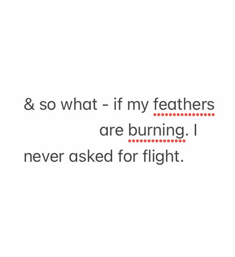 & so what - if my feathers
                  are burning. I
never asked for flight.