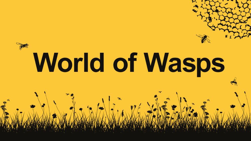 Black and yellow artwork showing flowers, grass, wasps and an outline of a wasp nest. Text reads 'World of Wasps'. 