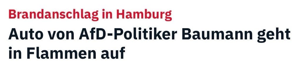 Schlagzeile:
Brandanschlag in Hamburg
Auto von AfD-Politiker Baumann geht in Flammen auf