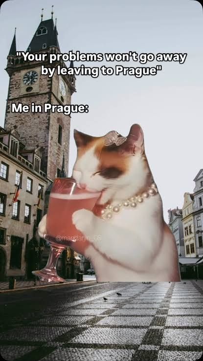 "Your Problems won't go away by leasing to Prague"
"Me in Prague:"
Dazu ein Bild von Prag und einer Katze mit rosa Cocktail am süppeln. 