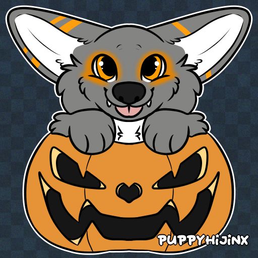 PUPPYHIJINX: Fennec sitting in a pumpkin