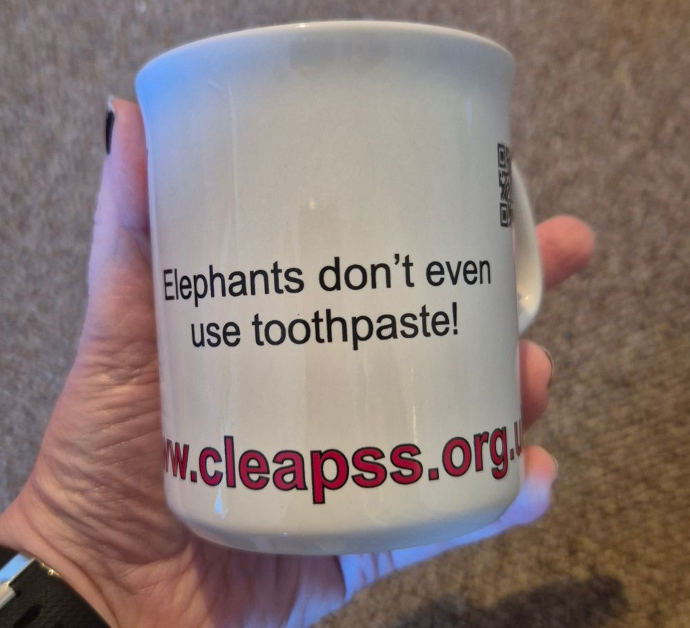 A mug with the slogan 'Elephants don't even use toothpaste!' printed on it.