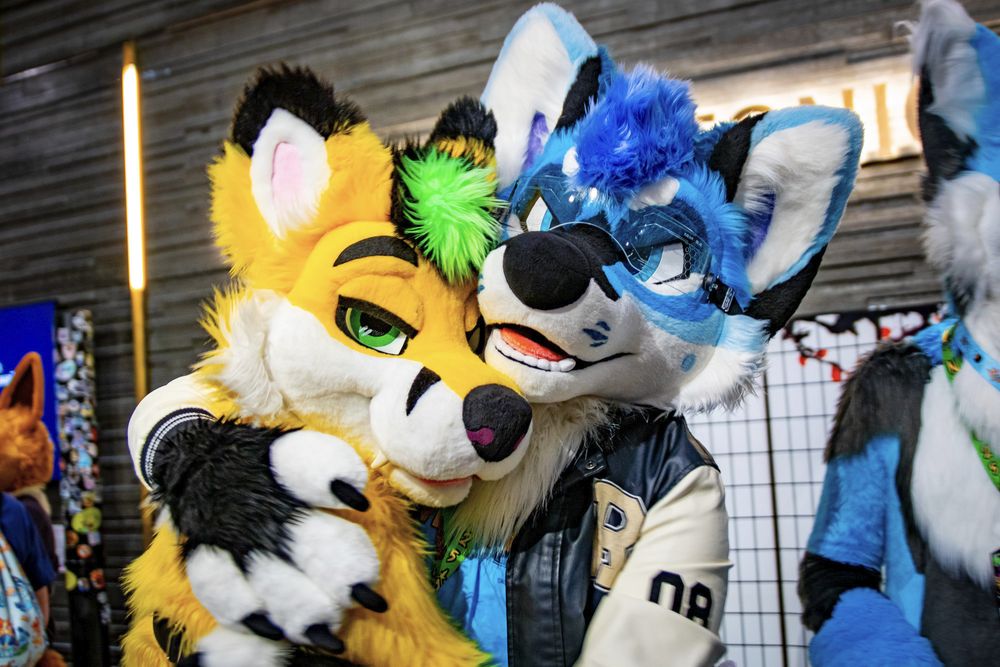 https://www.furtrack.com/user/Litra_Fox/photography/948181