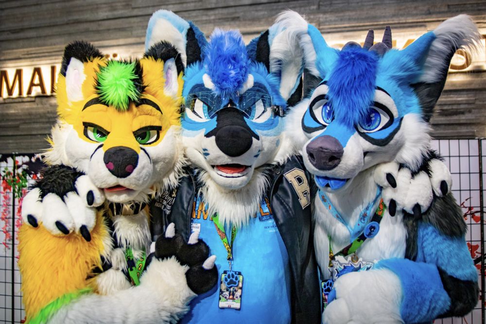 https://www.furtrack.com/user/Litra_Fox/photography/948182