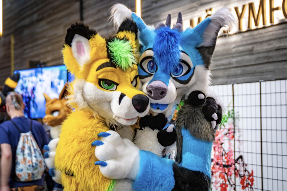 https://www.furtrack.com/user/Litra_Fox/photography/948183