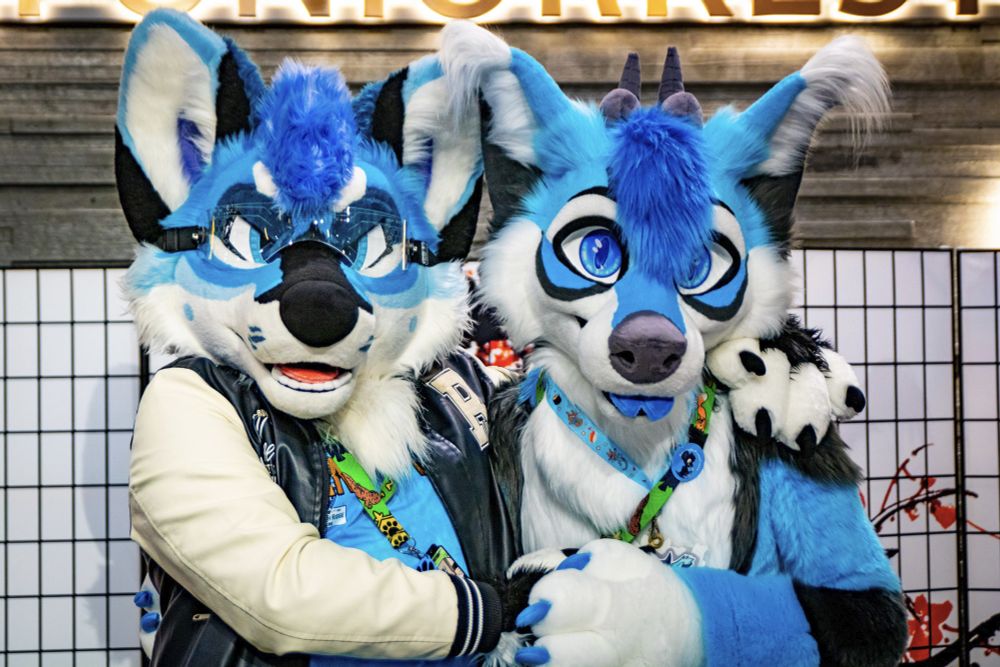 https://www.furtrack.com/user/Litra_Fox/photography/948180