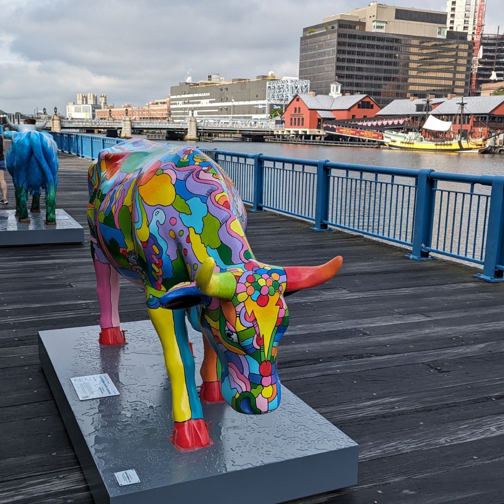 Fun cows by the Boston children's museum!
