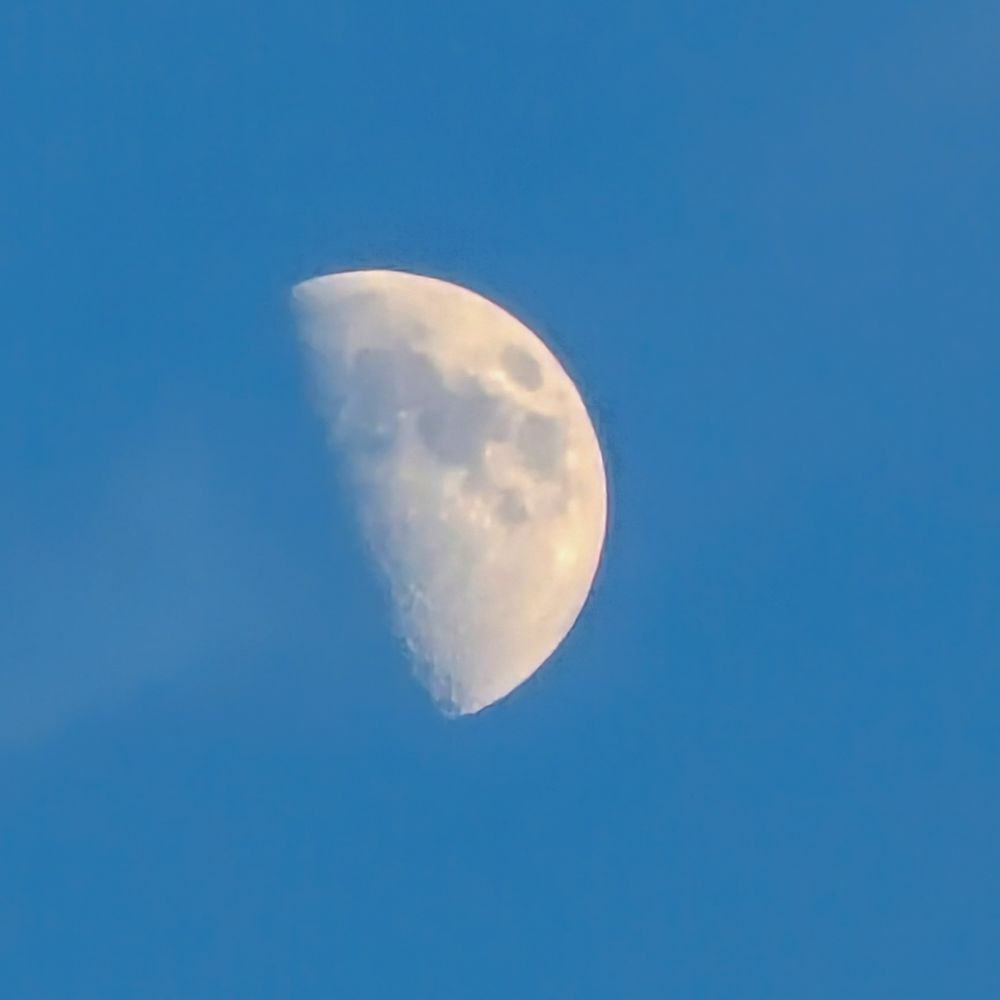 Half moon against a wintery clear blue sky. 