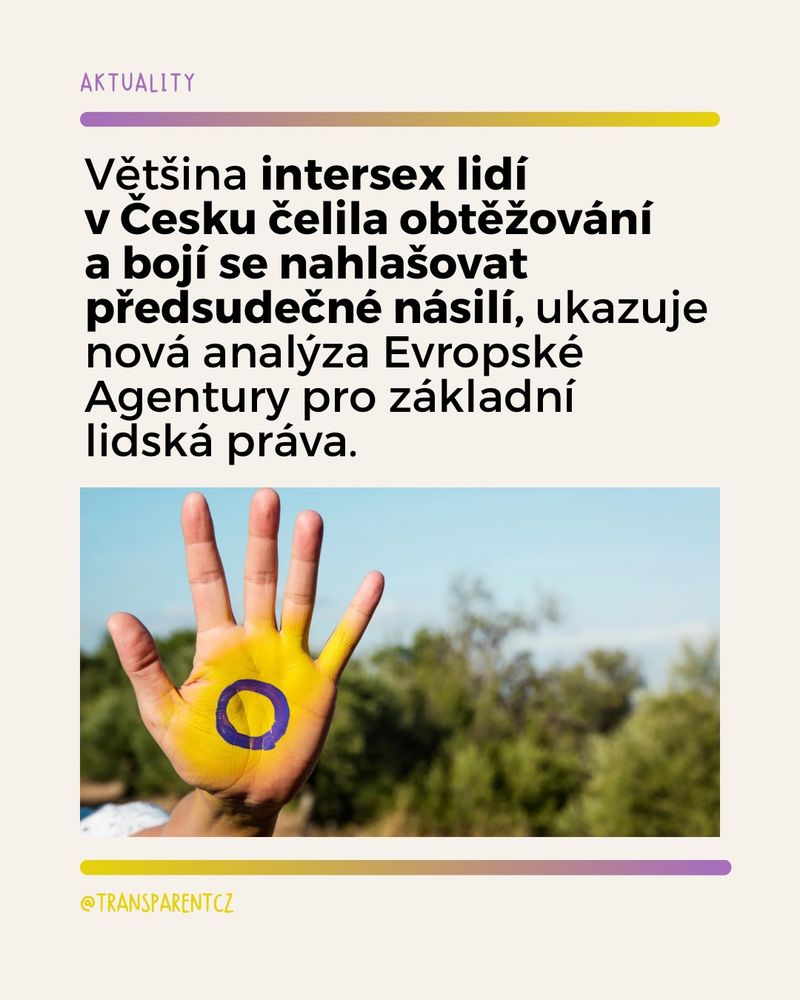 Na krémovém pozadí je fotka dlaně, na které je namalovaná intersex vlajka (žlutá s fialovým kruhem uprostřed) a nad fotkou je text: Většina intersex lidí v Česku čelila obtěžování a bojí se nahlašovat předsudečné násilí, ukazuje nová analýza Evropské Agentury pro základní lidská práva.