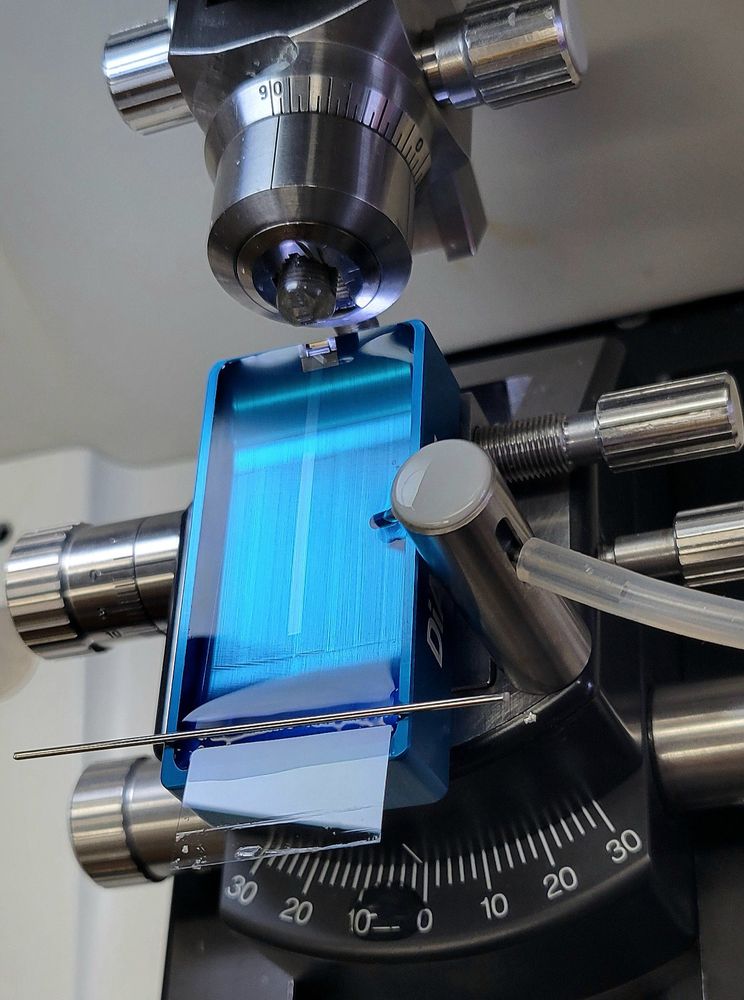 A closeup of an ultramicrotome and the diamond knife used for cutting the ultrathin sections. There's a beautiful long ribbon of sections floating in the middle of the diamond knife boat and a coverslip is propped in, ready to pick the ribbon.