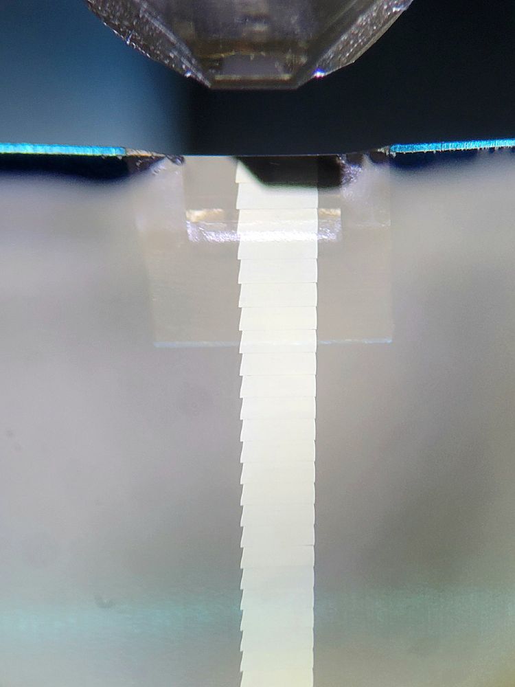 A shiny, perfectly straight ribbon of serial trapezoid sections floating in the water bath of a diamond knife. These are sections from a mouse brain embedded in plastic, each section is 70 nm thin!