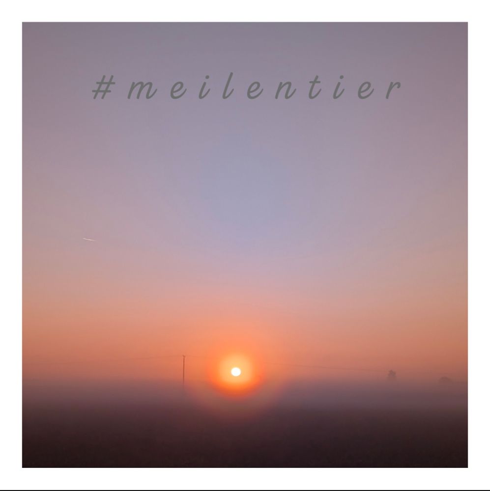 bodennebliger Sonnenaufgang