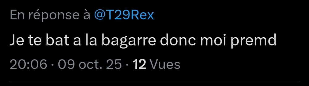 Une personne sur twitter (oui je sais faut que j'arrête) m'a dit qu'elle pouvait me battre à la bagarre 