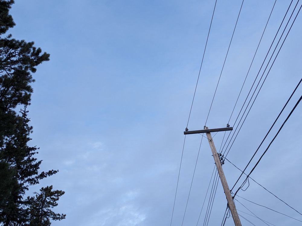 A slightly cloudy blue sky, with a pine tree silhouette on the left and a power line with several electrical and phone cables on the right.