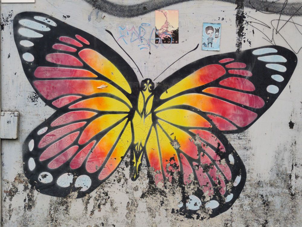 A grey wall, on it painted a big butterfly in red and yellow with black outlines
Eine graue Wand, bemalt mit einem Schmetterling in Rot und Gelb mit schwarzen Konturen