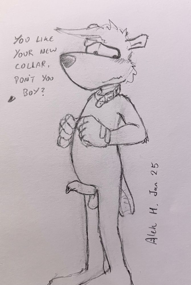 A furry nsfw drawing of Sly the Tasmanian Tiger. He’s wearing a collar and has an erection. There is a caption from someone speaking off screen which says: “You like your new collar, don’t you boy?”