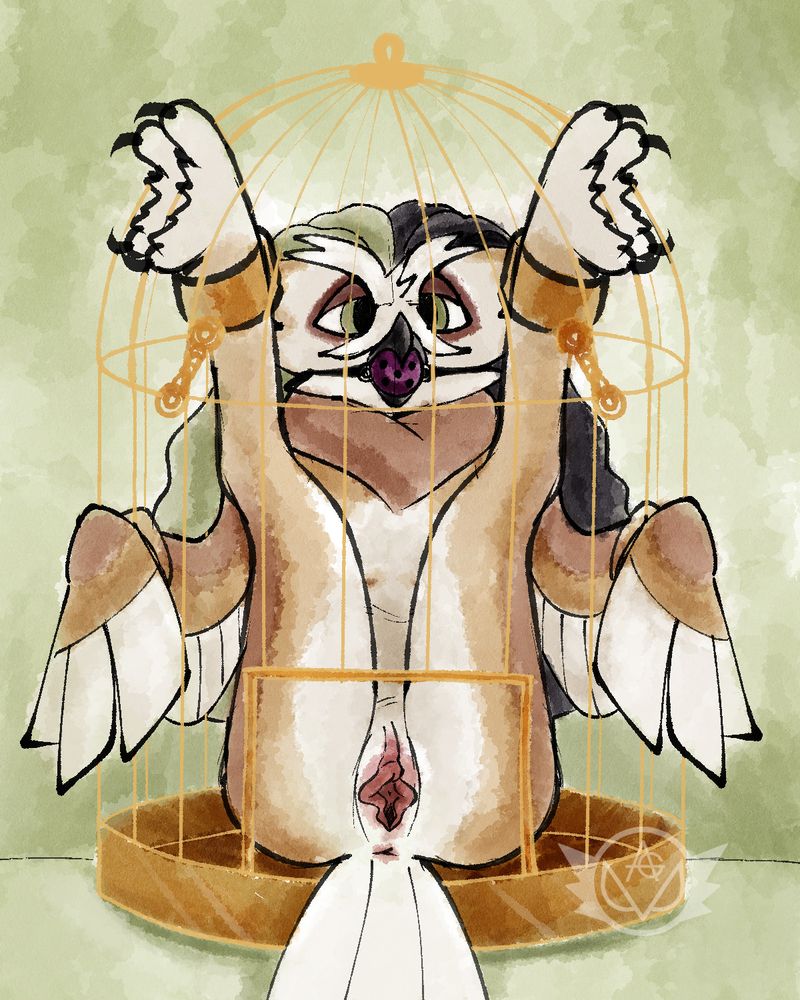 owl furry locked in a golden birdcage, pussy accessible from the door of the cage, and a ballgag in his mouth. his legs are cuffed and chained to the cage.