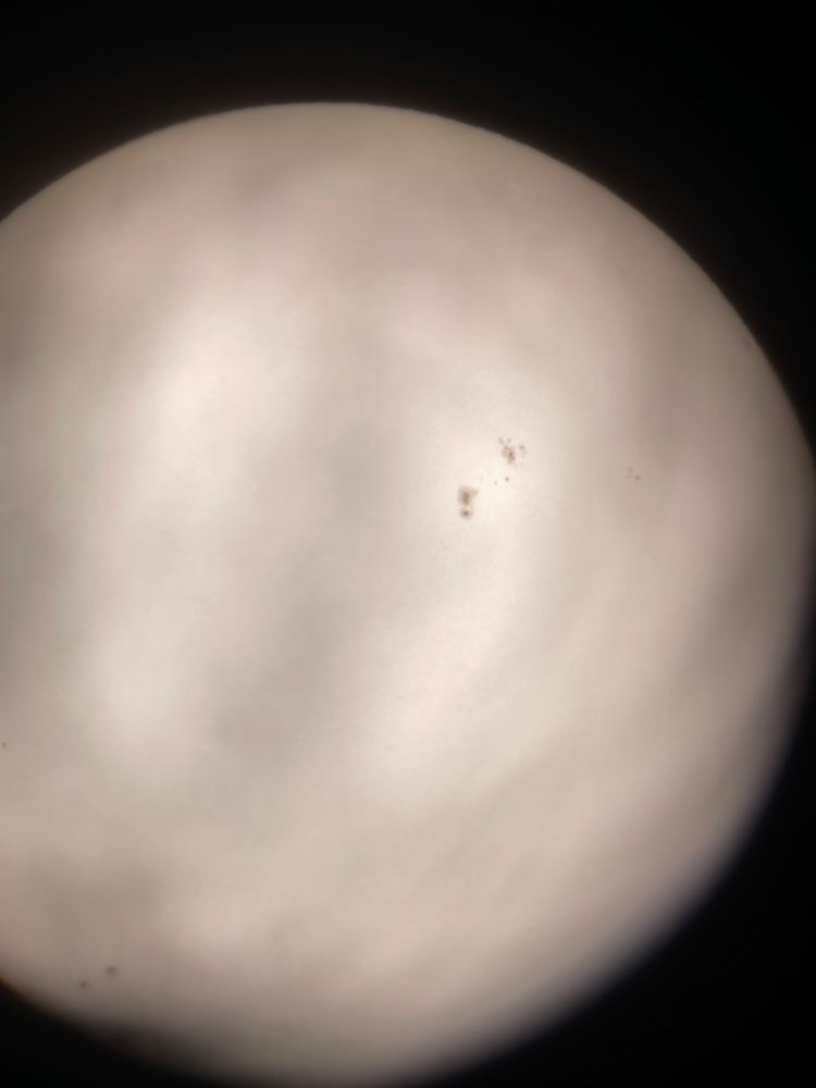 Sun shadowed by trees through a 1900mm telescope with solar filter showing just a few sun spots.
