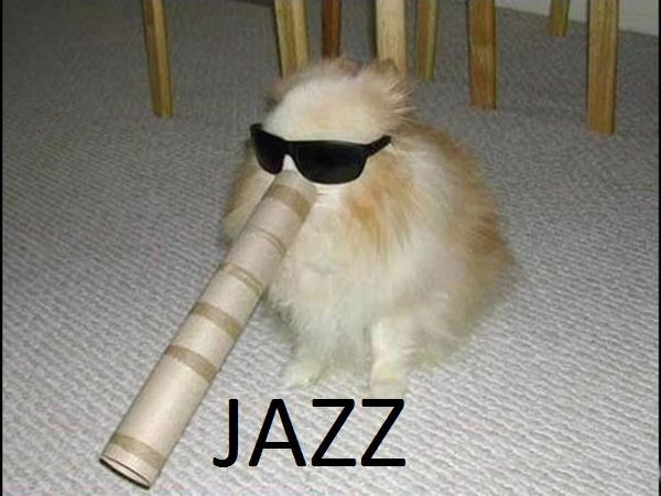 pomeranian with shades blowing into paper towel tube