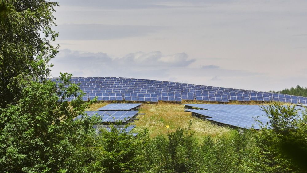 Energiewende: Bayern beim Ausbau der Erneuerbaren vorn - trotz Windkraft-Flaute