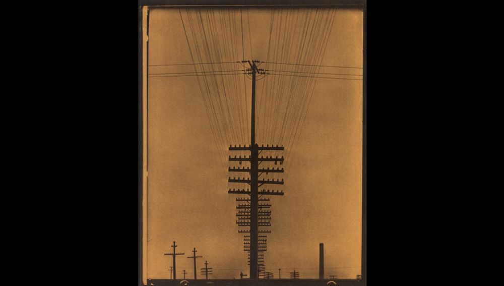 a row of telephone poles, perfectly lined up so that the poles are all hidden behind the frontmost one, and only the crossbars can be seen growing ever smaller as they recede towards the bottom of the frame. the telephone wires mostly echo this same perspectival recession, except for a few wires strung from left to right across the upper portion of the image. the background is a rich brown, lighter at the edges. along the bottom of the image can be seen a few distant telephone poles.