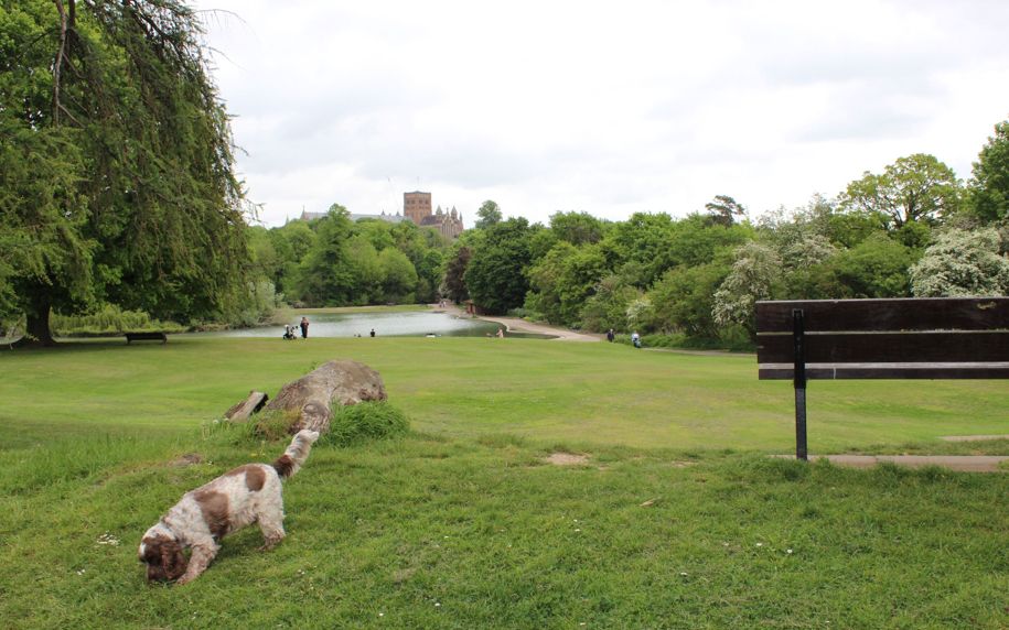 Verulamium Park