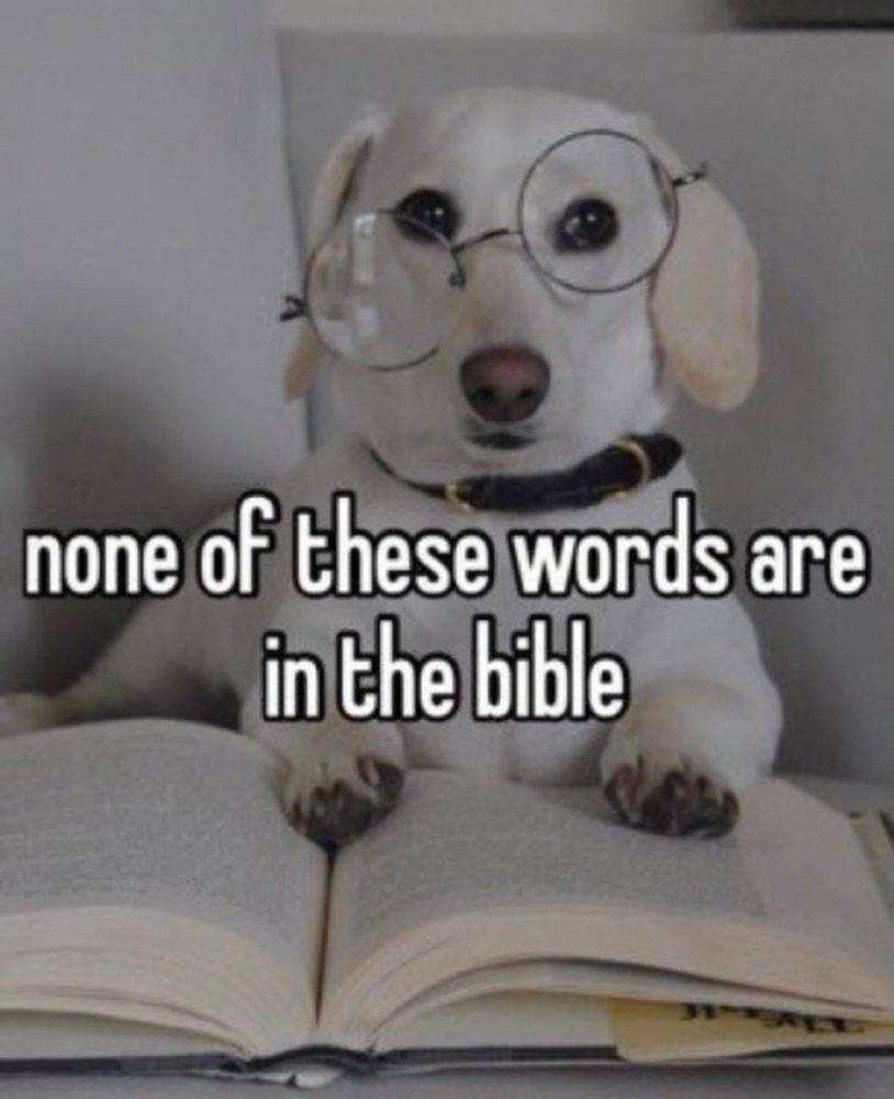 the homophobic dog wearing crooked glasses reading a book, text overlaying states “none of these words are in the Bible” 